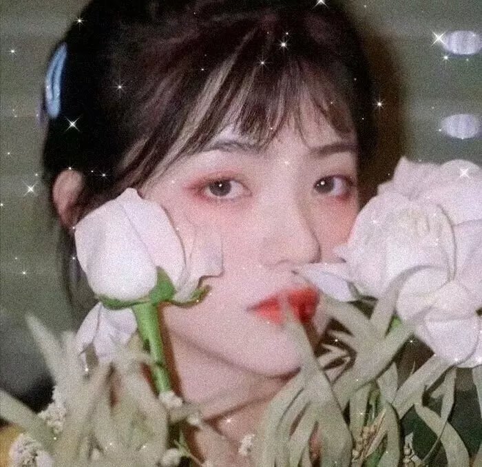 五颗寂寞芳心